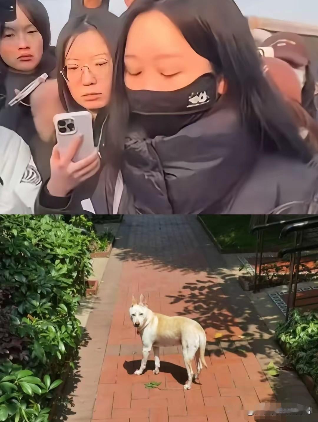 北京的李女士遛狗从不牵绳，经常不捡狗屎，导致小区满地狗屎，被邻居指责后，不但不