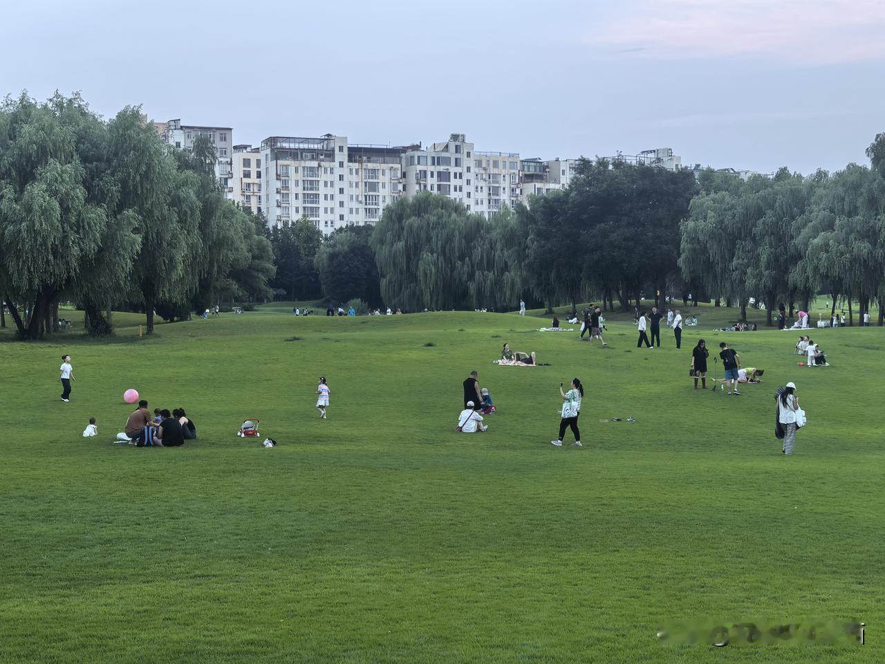 石家庄世纪公园旁高尔夫球场！我们大概是晚上六点多到的，门口停的电动自行车已经排起