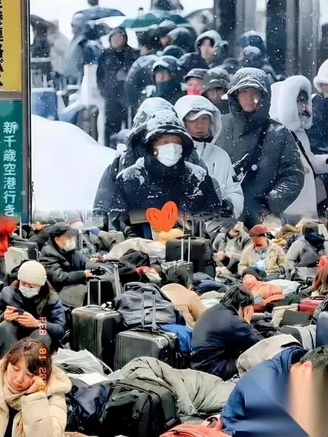 北海道的风，现在吹得有点堵心。不是雪太大，是有些人的“反悔”太拧巴——当