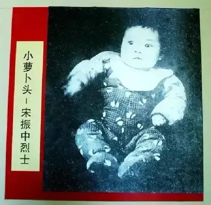 1949年，毛人凤问蒋介石，白公馆里还有一个八岁大的小孩，应该怎么处理，蒋介石瞥