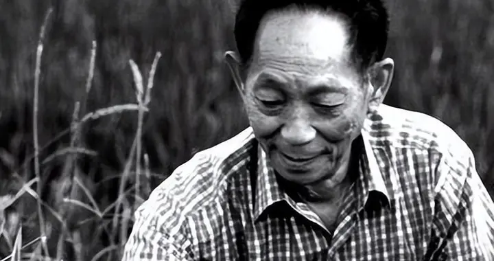 袁隆平：杂交水稻之父的初心与使命