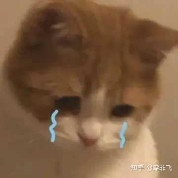 男女力量差距真的那么大么?网上有些男女力量对比的讨论帖说十几个女人也打不过一个