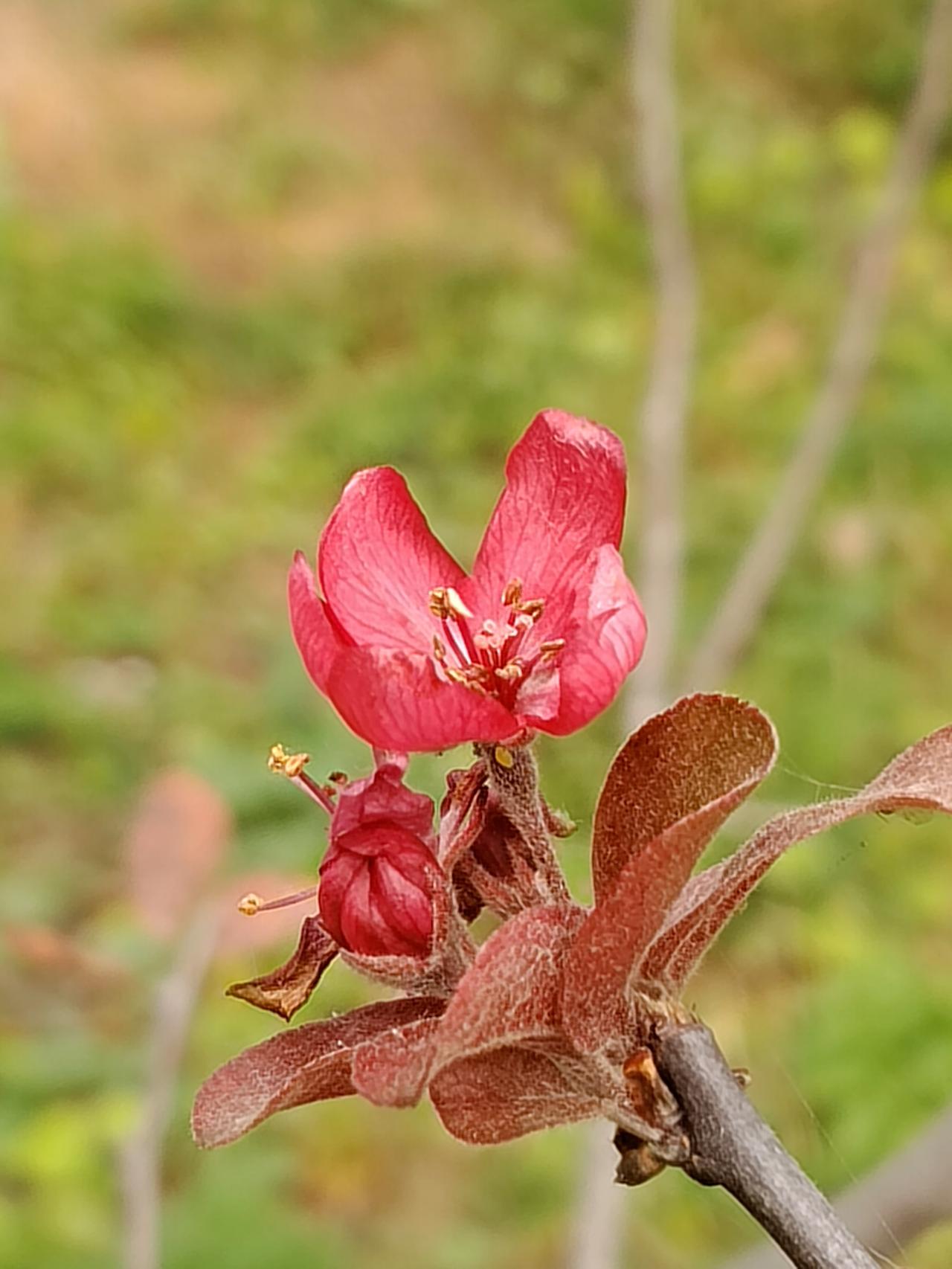 北京燃气价格为2.67元，而河北的燃气价格却是3.12元一立方呢？难不成河北人收