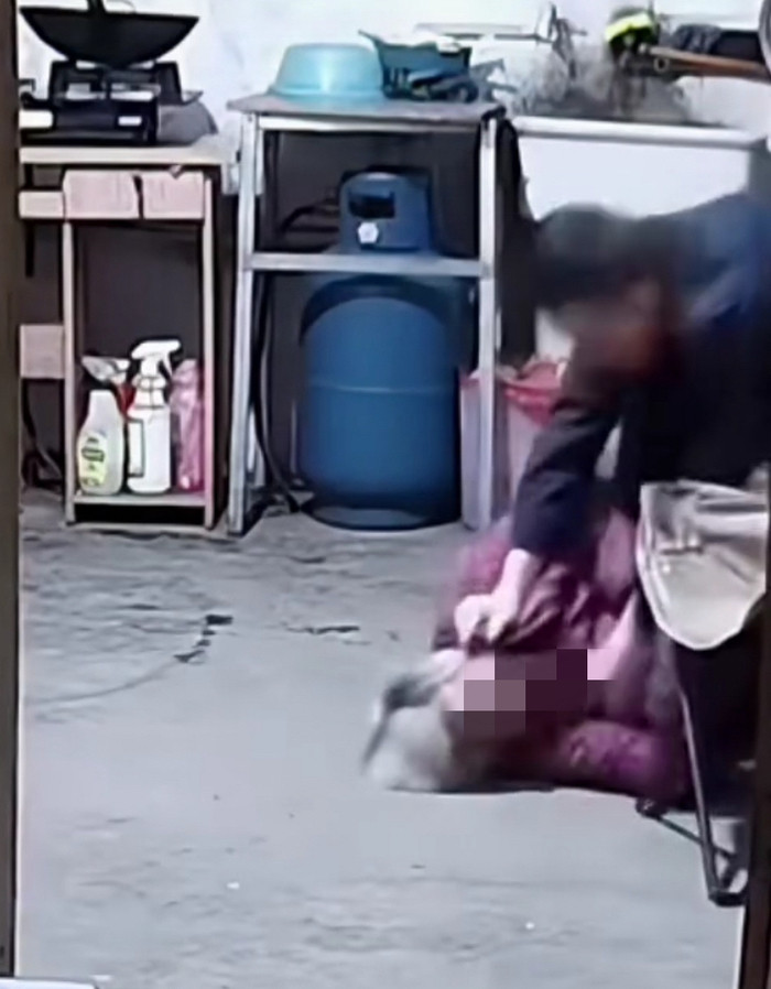 江苏常州通报“儿子殴打高龄母亲”: 涉事男子已被抓获, 案情正在侦办中