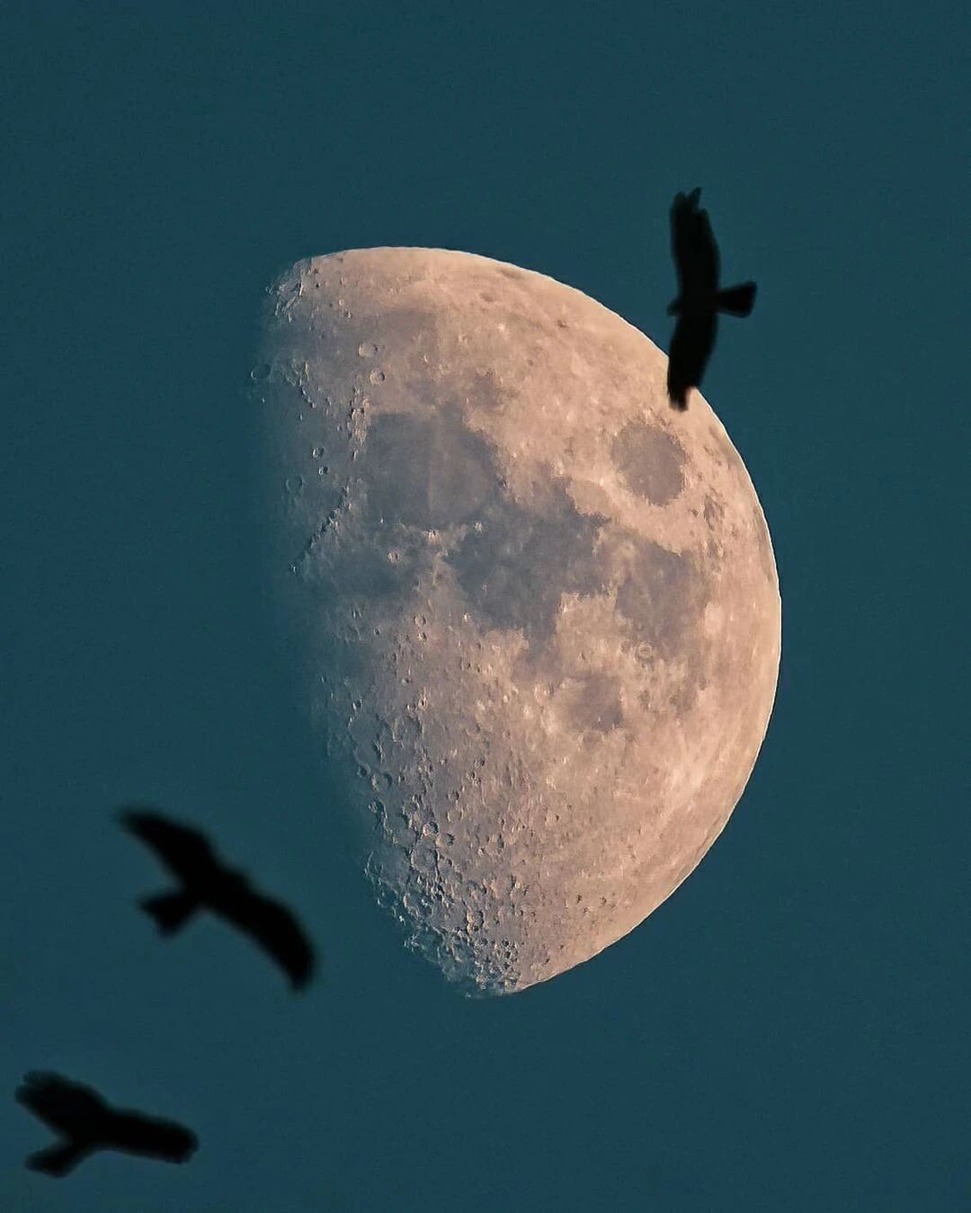 “日落时最适合想念，因为光影会把思念拉得很长很长。”｜my_soulwax