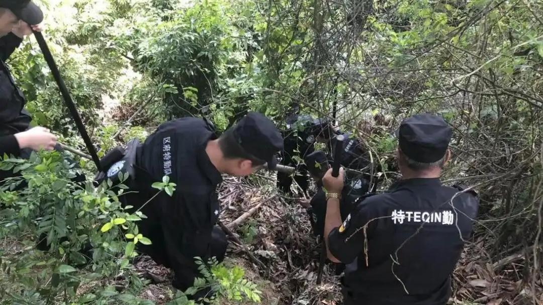 人性何以泯灭?1994年福州“11·14”文林山杀人埋尸案侦破始末
