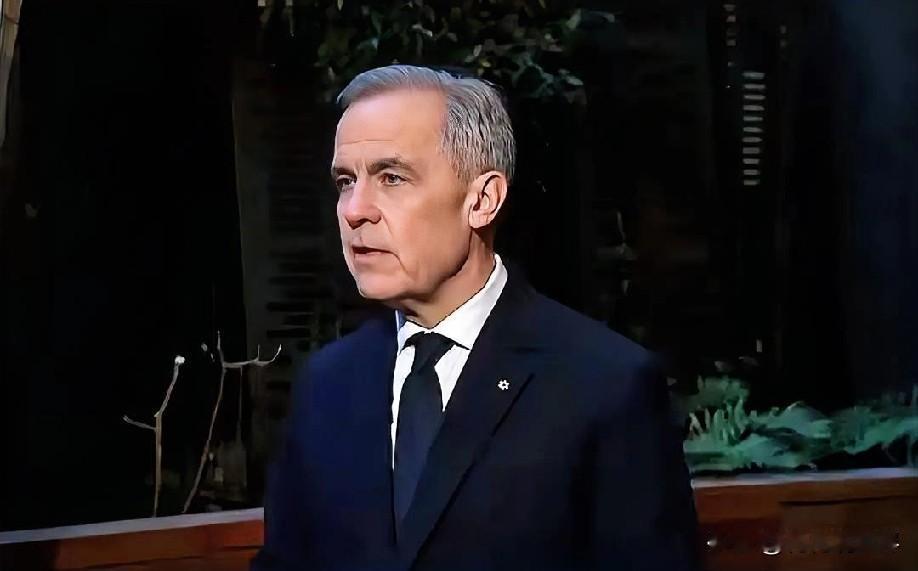 1月21日上午的最新消息，速报，全都不容错过，第四条：加拿大总理官宣：美国主导的