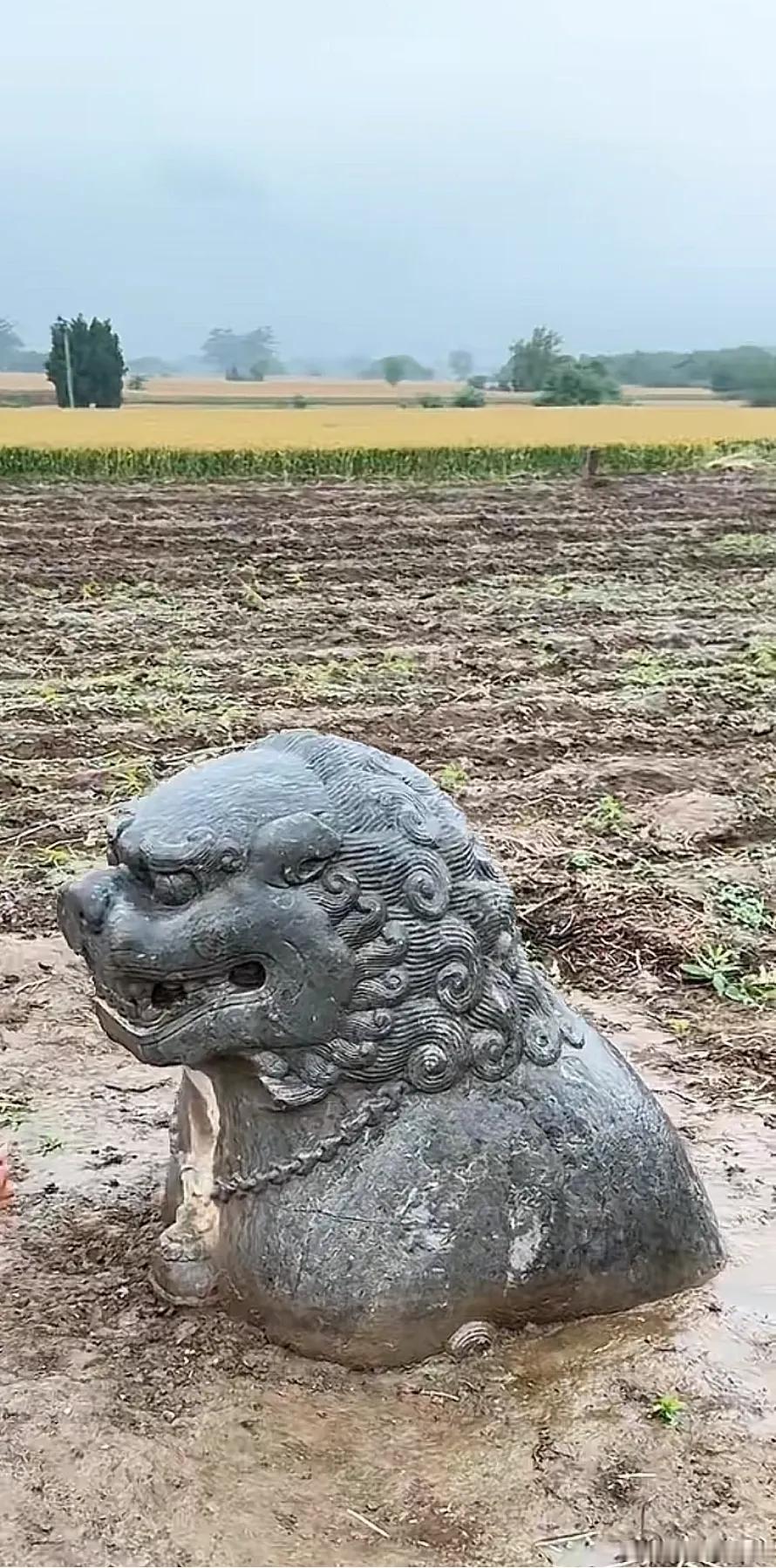 这是潘皇后坟前的石像生，大半部都被埋在黄土里。我想，它是不是在暗示我们，很多的