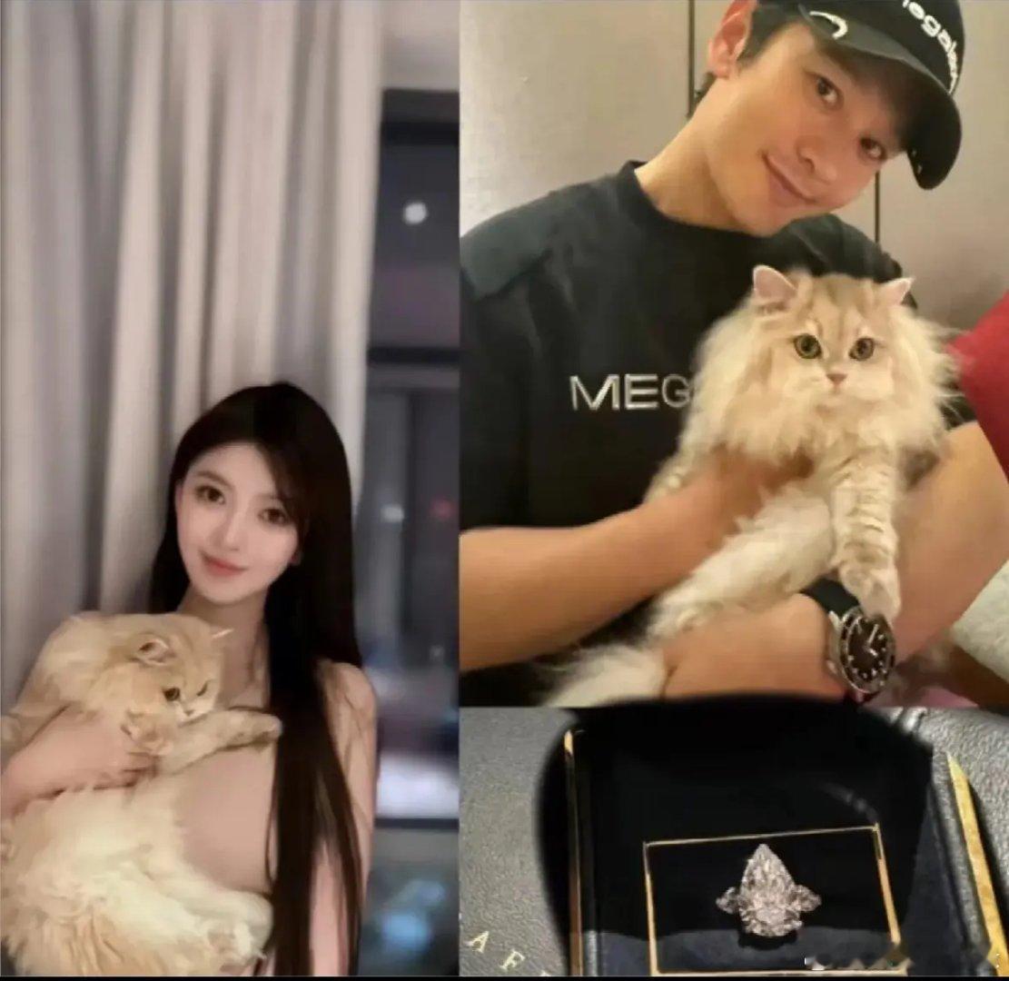 叶珂曾自称单亲妈妈需还贷叶珂直播时婴儿哭声意外入镜，瞬间撕开明星育儿与事业平衡的