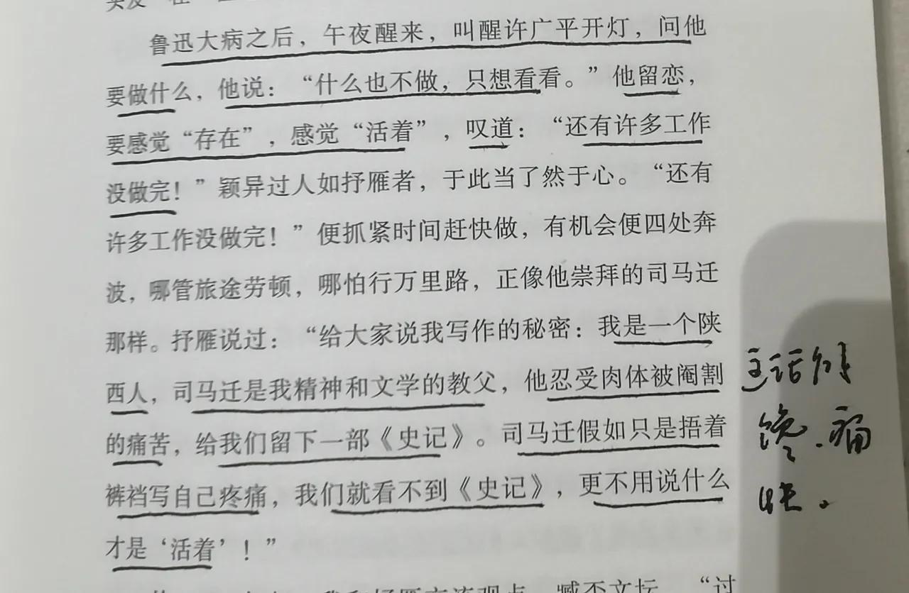 是不是给了伤痕文学一记响亮的耳光？雷抒雁说过，假如司马迁只是捂着裤裆写自己疼