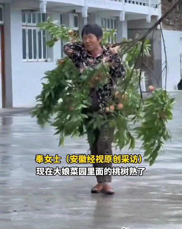太暖心了。湖南娄底，一女子因经常帮村里老年人网购物品，且货到后还亲自为他们送到家