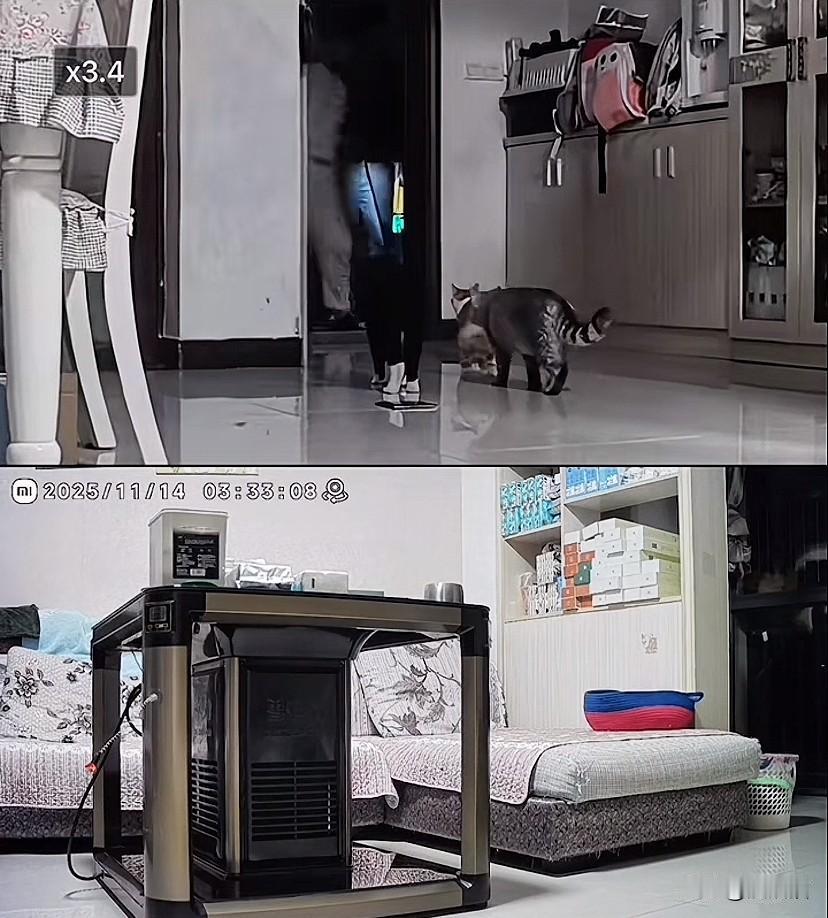 湖北恩施，凌晨三点半，女子的老公下班回到家。看见女子还没有睡，他问女子怎么把家里