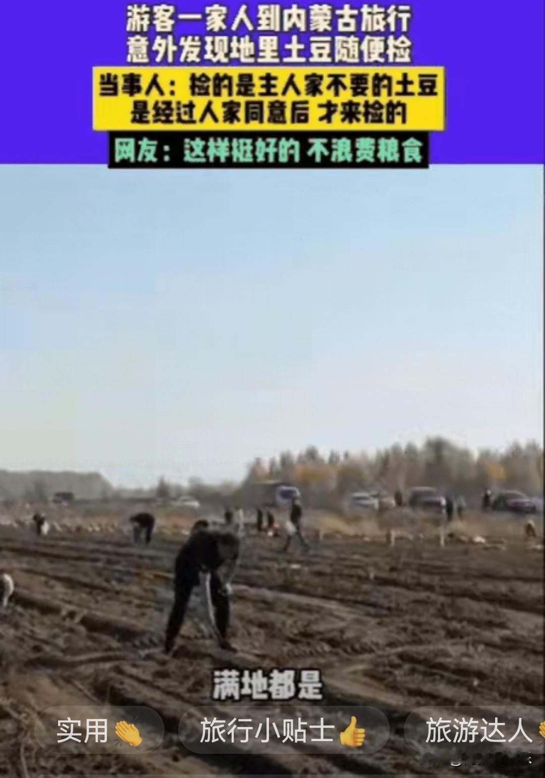 男子一家去内蒙古icon旅行，意外发现路边地里有很多土豆，于是跑到地里去捡，而主