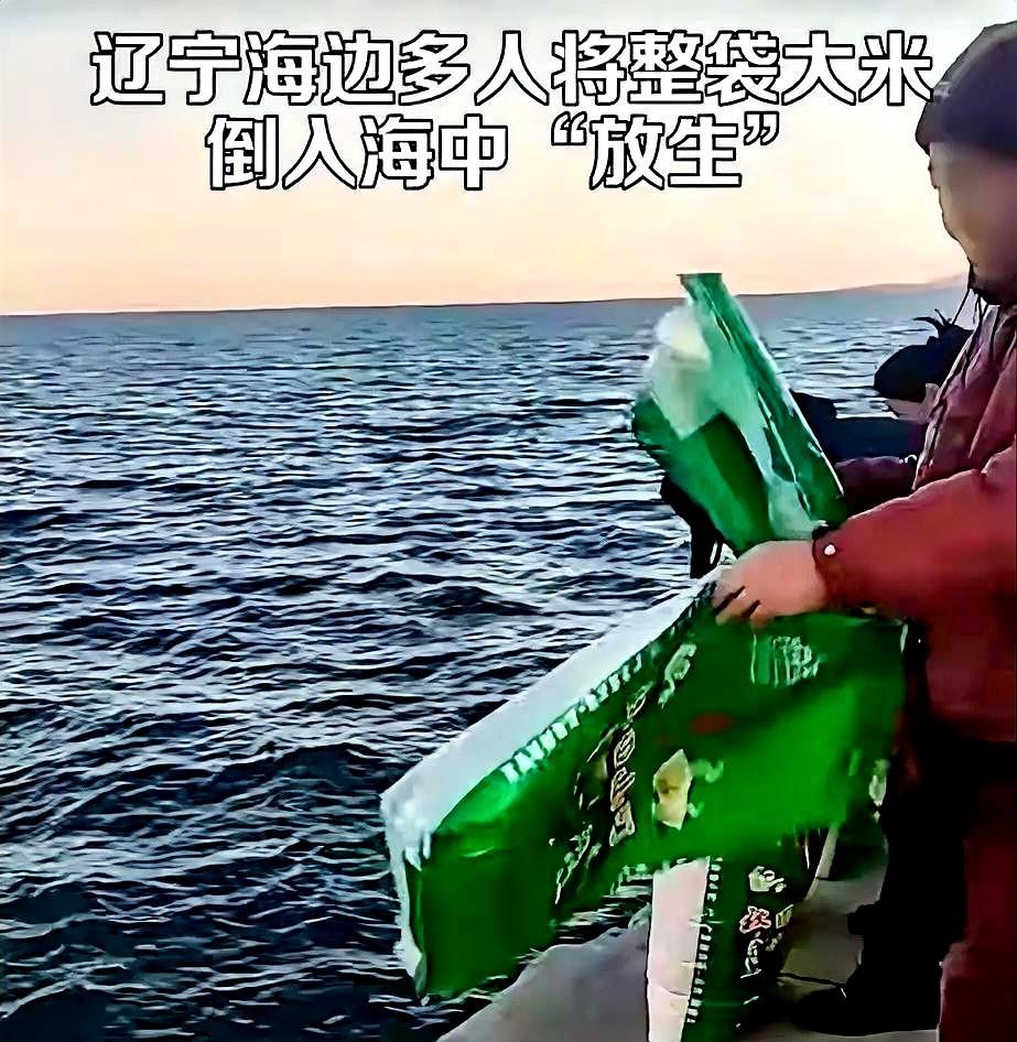 吃饱了撑的！据报道，辽宁葫芦岛多人往海里倾倒大米，口中还念念有词。说是放生大