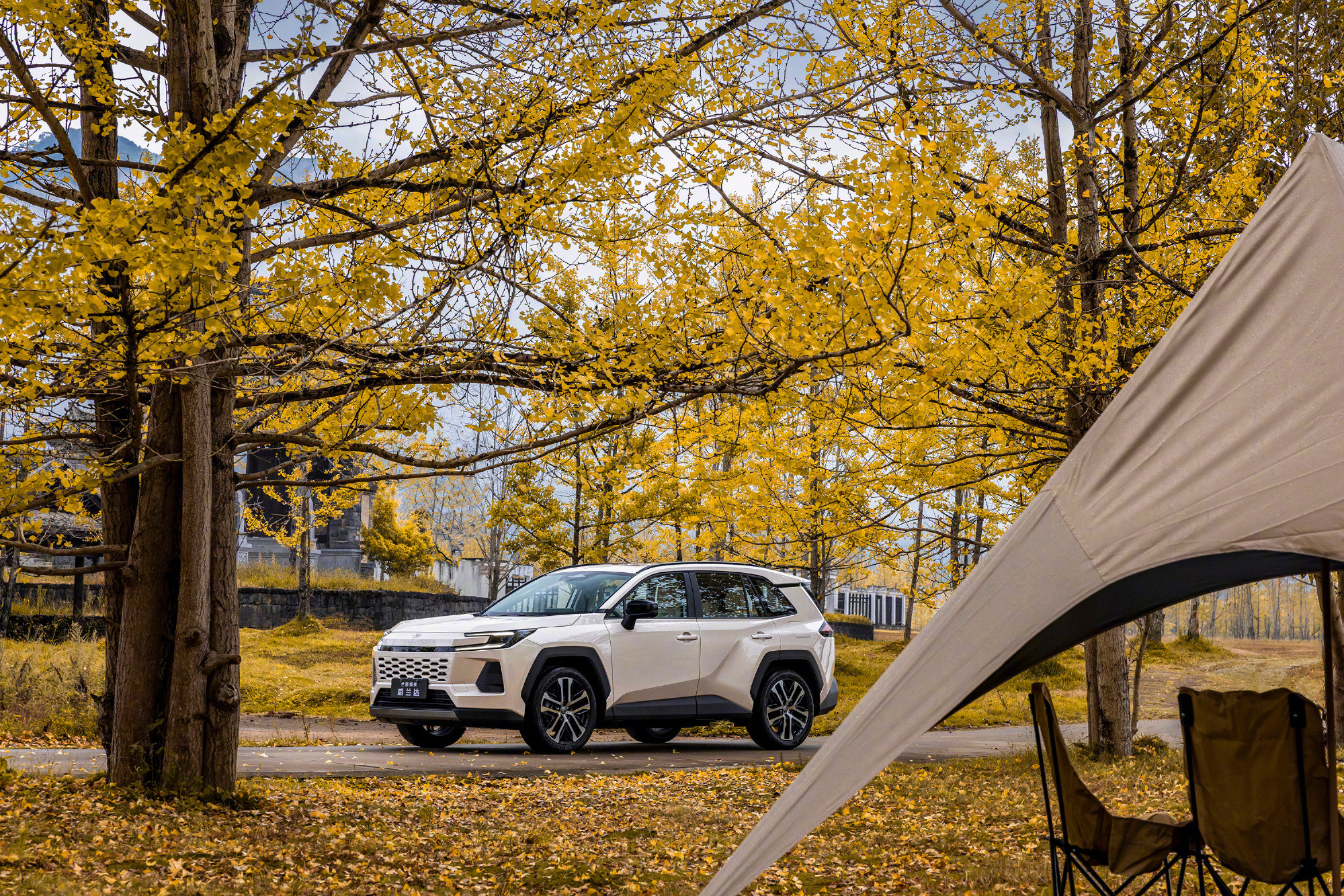 14万级全新威兰达到店14万级家用SUV卷王来了！全新威兰达直接把续航干到150