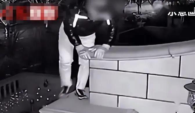 法律不能向违法行为让步！2023年，广东一名男子深夜翻墙闯进独栋别墅打算行窃，结