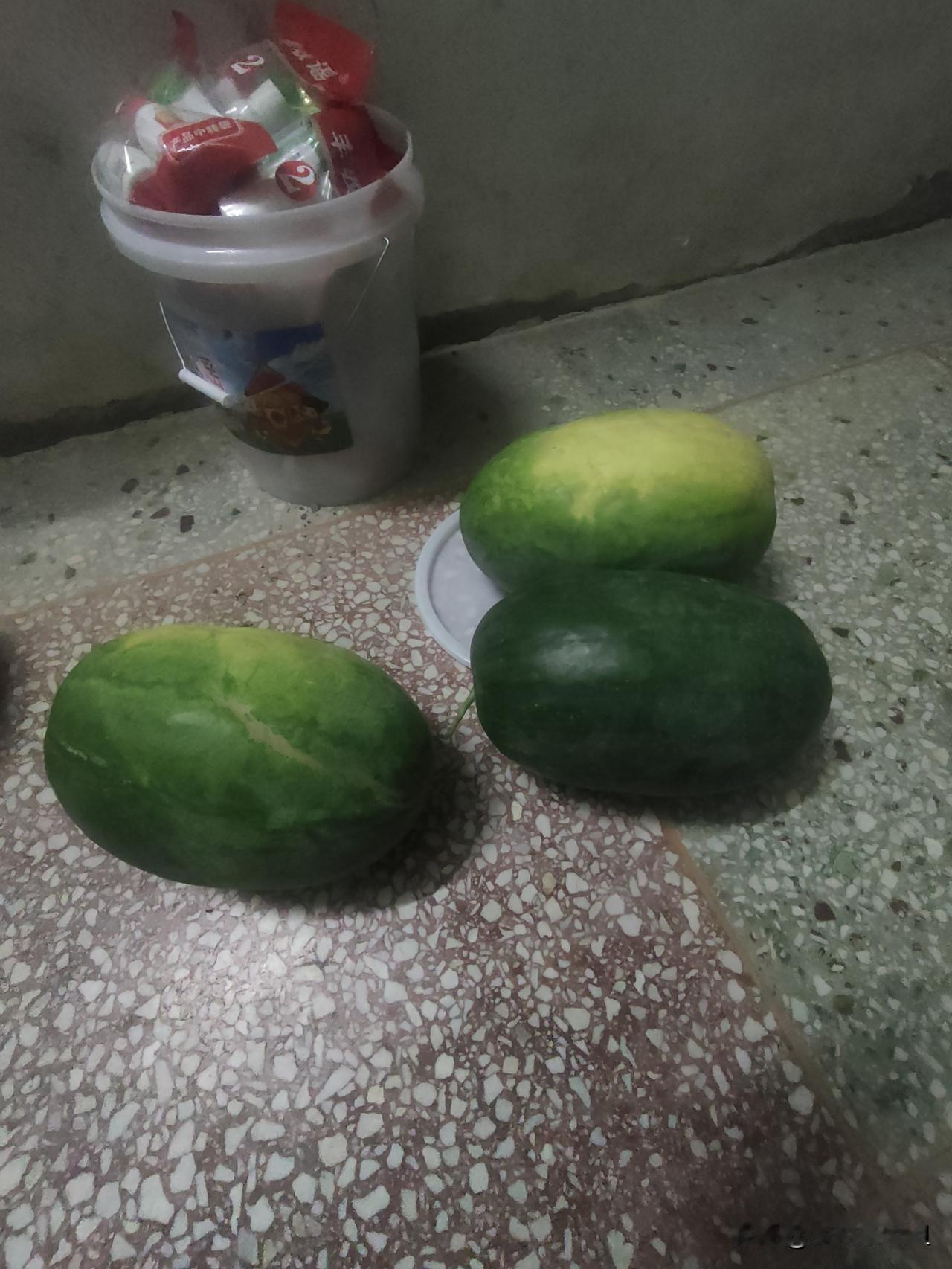 前几天老公买了一袋子西瓜，我说你真舍得吃，现在钱多难挣，老公说三毛钱一斤。昨