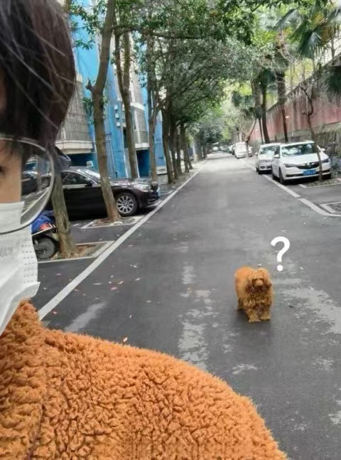 车若初见狗子大脑直接宕机了[捂脸哭][捂脸哭][捂脸哭]​​​