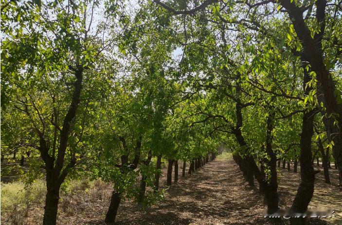现在要说资本下乡，其实好多资本也挺头疼，不愿意真正的下乡。有个企业，在某个村承