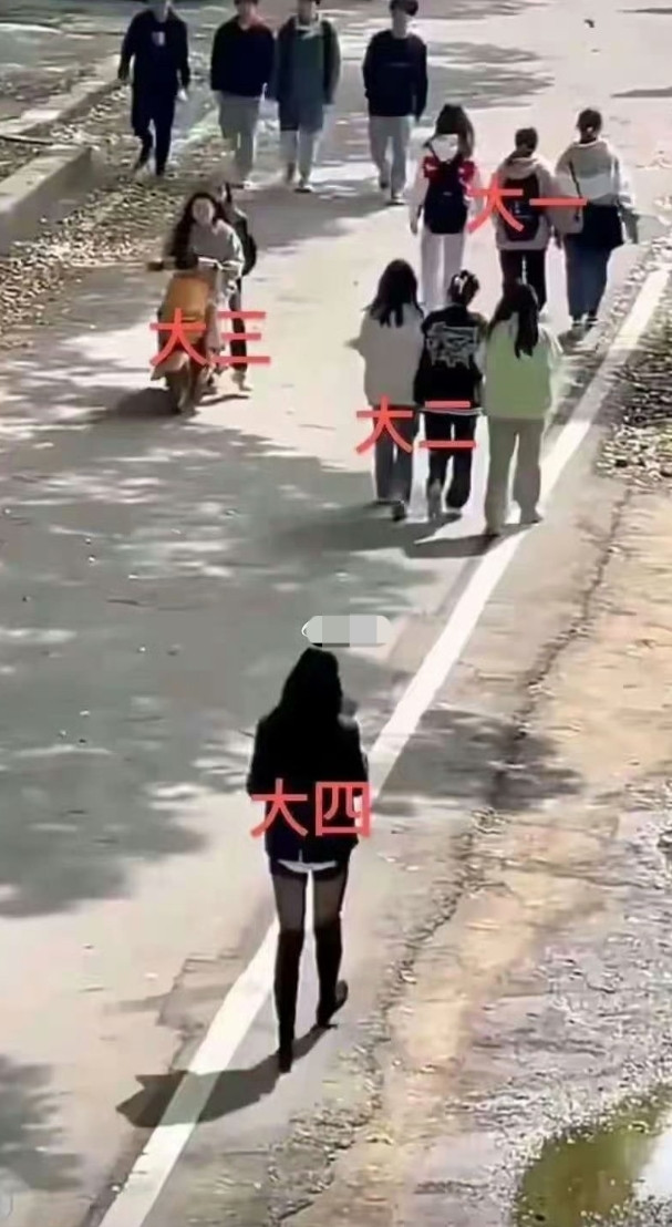 大学四年到底经历了什么