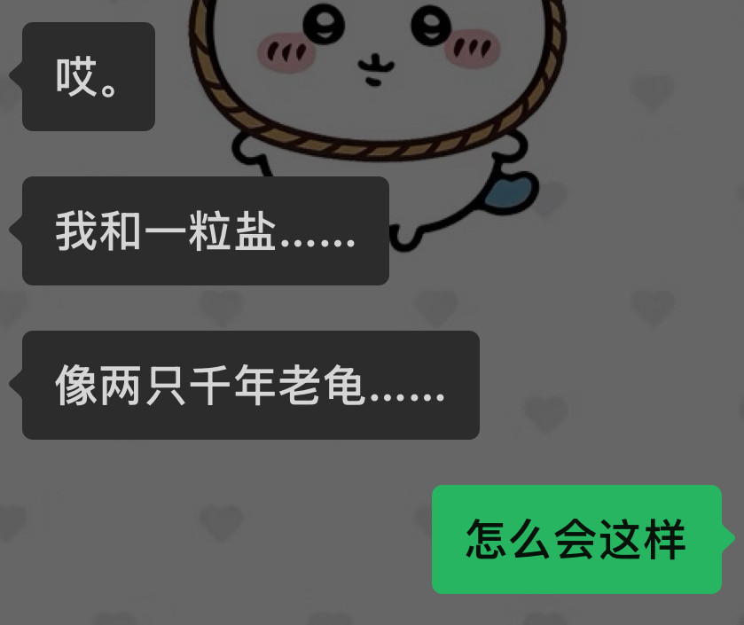谁点的两只王八
