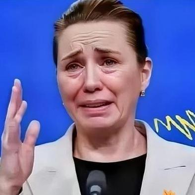 丹麦政府痛恨中国丹麦的外交大臣拉斯穆森：过去不允许中国对格陵兰岛投资，现在不会