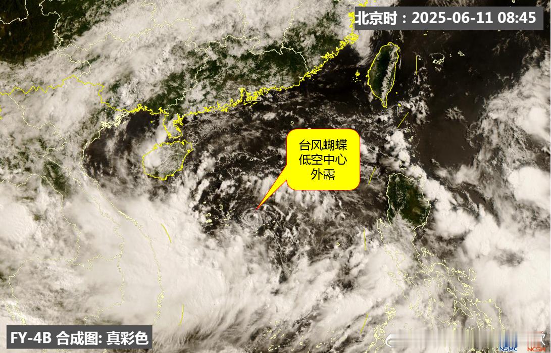 今年第1号台风蝴蝶直扑华南从目前形势预报看，大多数预报偏向台风蝴蝶在13日凌晨