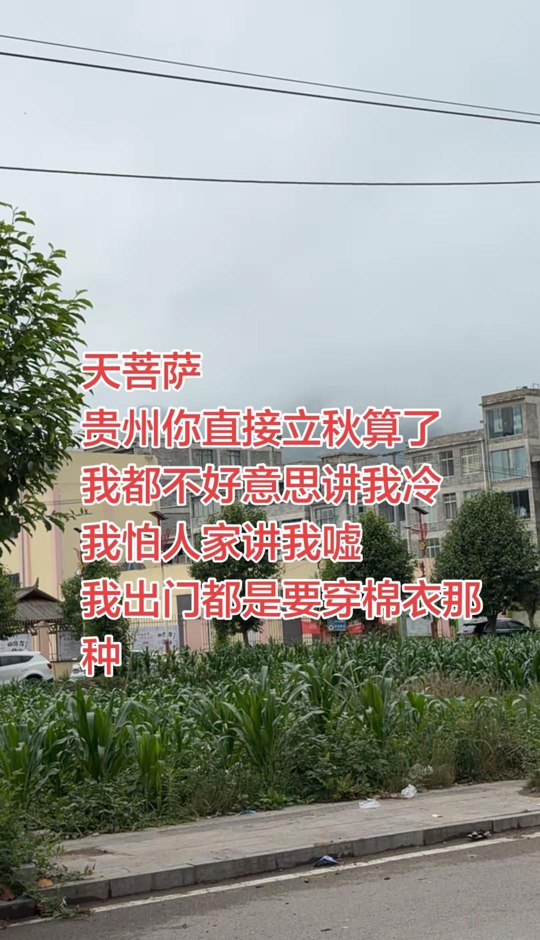 天菩萨贵州你直接立秋算了我都不好意思讲我冷我怕人家讲我嘘我出门都是要穿