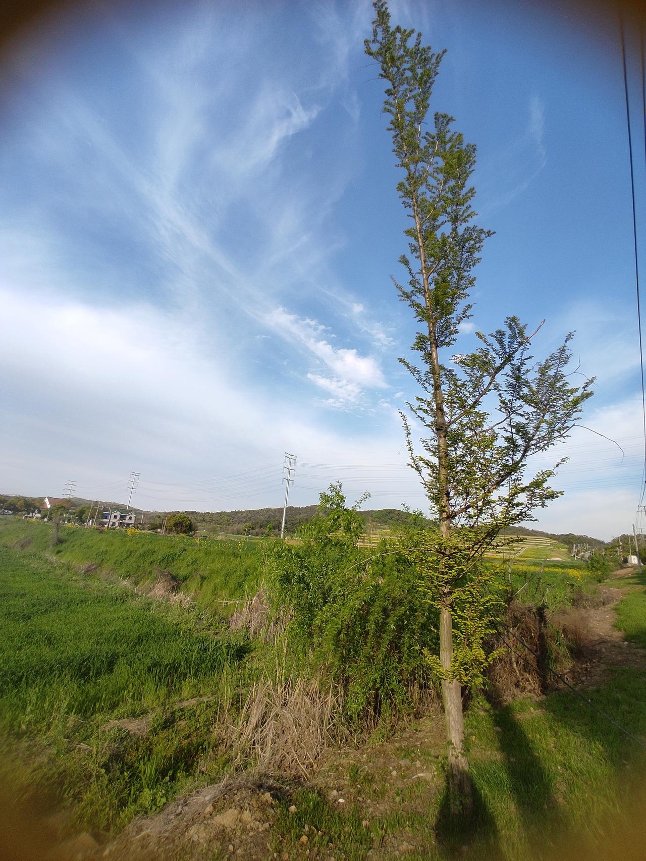 紫微斗数廉贞星廉贞星是紫微星系的最后一颗星，性质比较复杂，五行属阴火，代表电