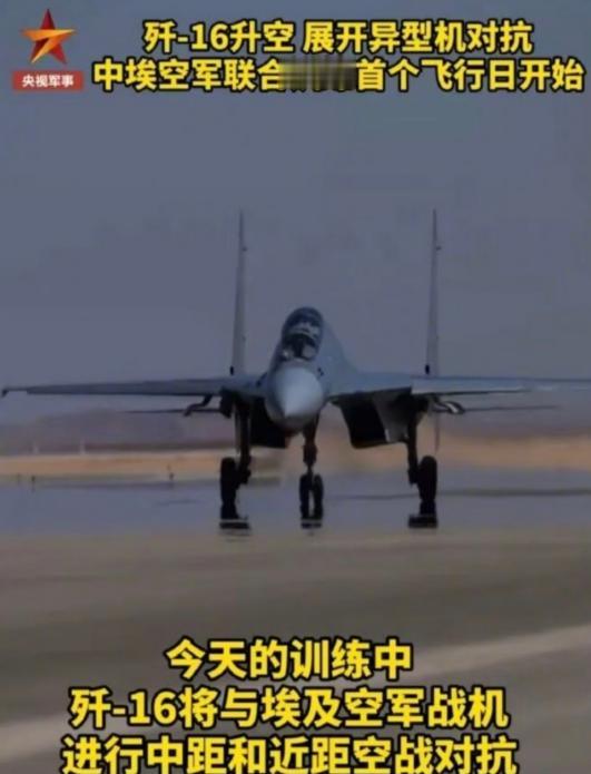 “阵风”做了一个非常漂亮的滚转，然后就被“击落”了 在中埃“文明之鹰-202