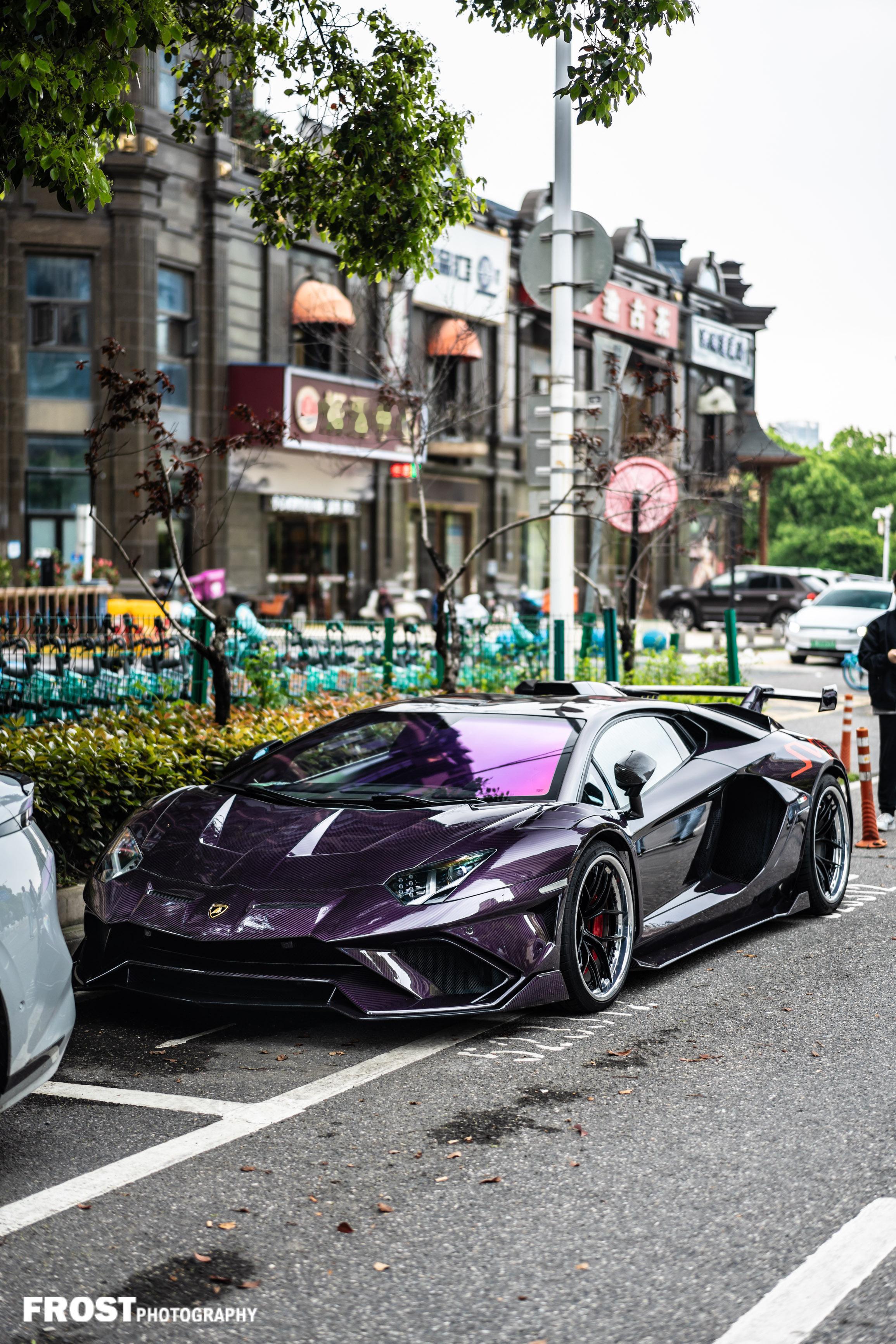 全国唯一的全碳大牛吧，出街武汉御湖世家，原车是一台精品车况的lp740，改svr