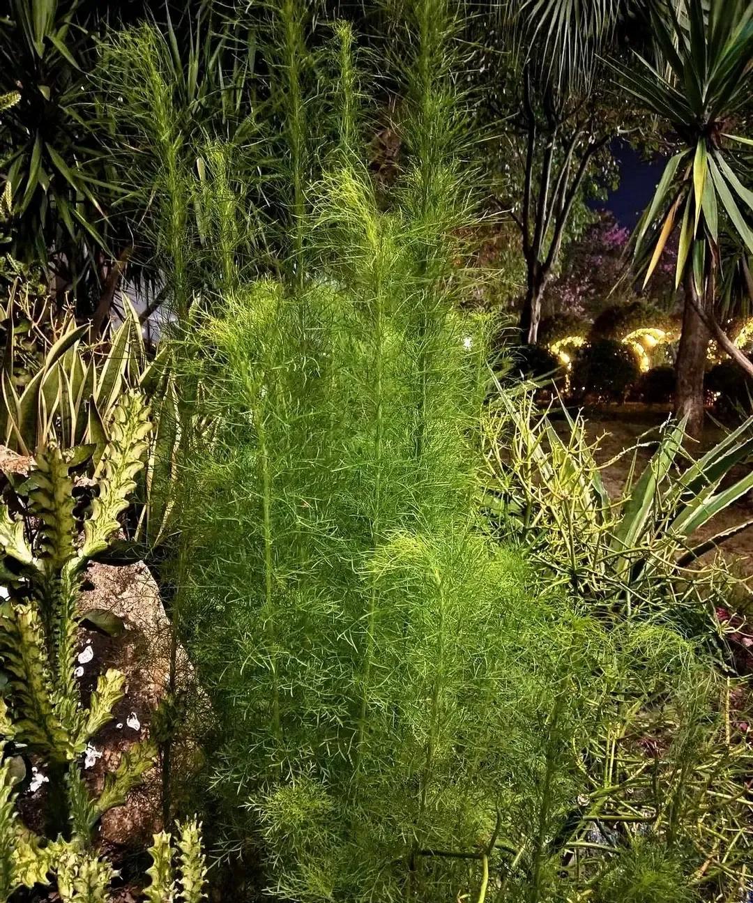 我刷到一条匿名帖，姑娘说聚会里被一秃顶大叔追问老公干嘛，她老老实实答普通职员，对