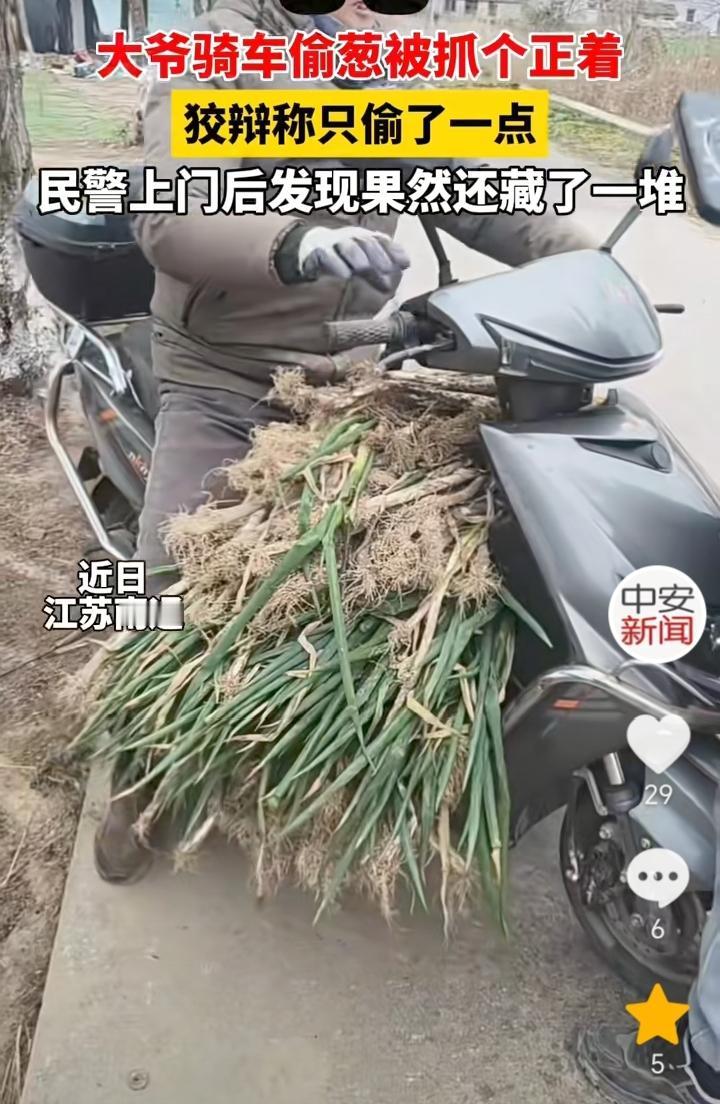 “这直接是去进货去了”！江苏南通，大爷骑电动车去别人菜地里偷葱，大爷直接把葱放到
