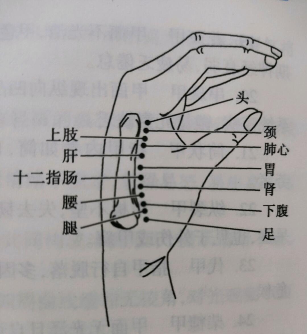 一块骨头就能判断身体好不好