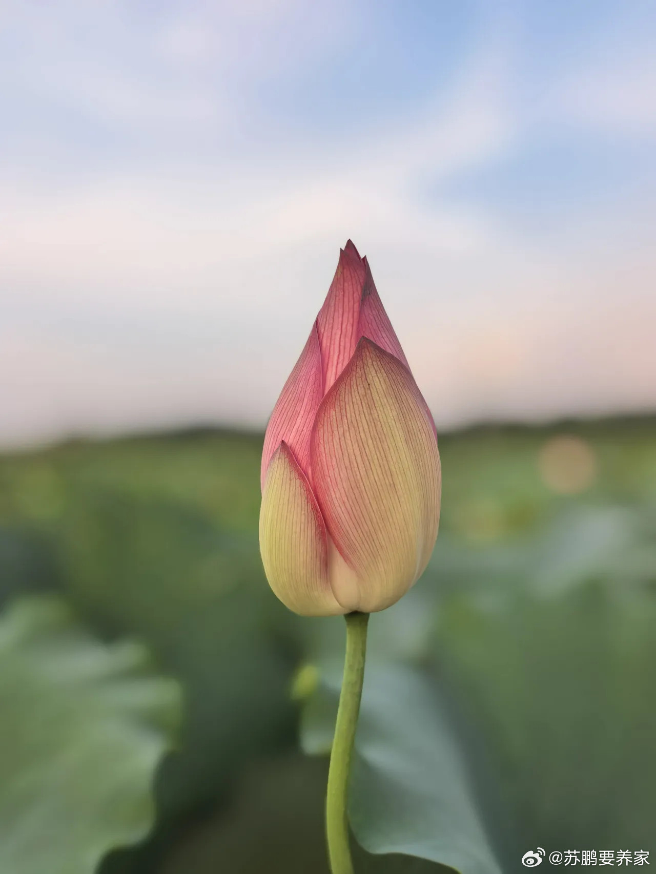 油价开启新一轮的暴涨了！从周末开始，中东局势突然恶化，美国和伊朗之间又开始了相互