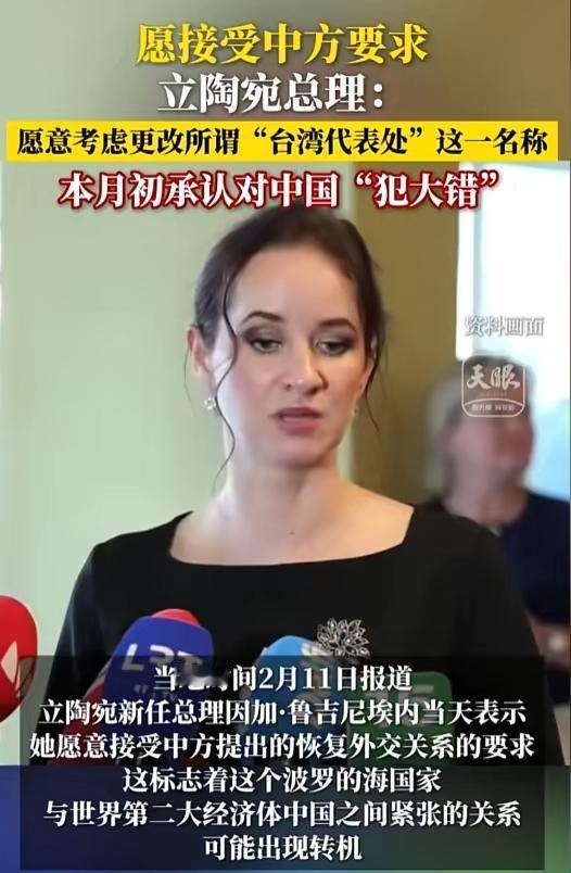 新年伊始，立陶宛给全球反华势力"打了个样"！新年刚开年，国际政