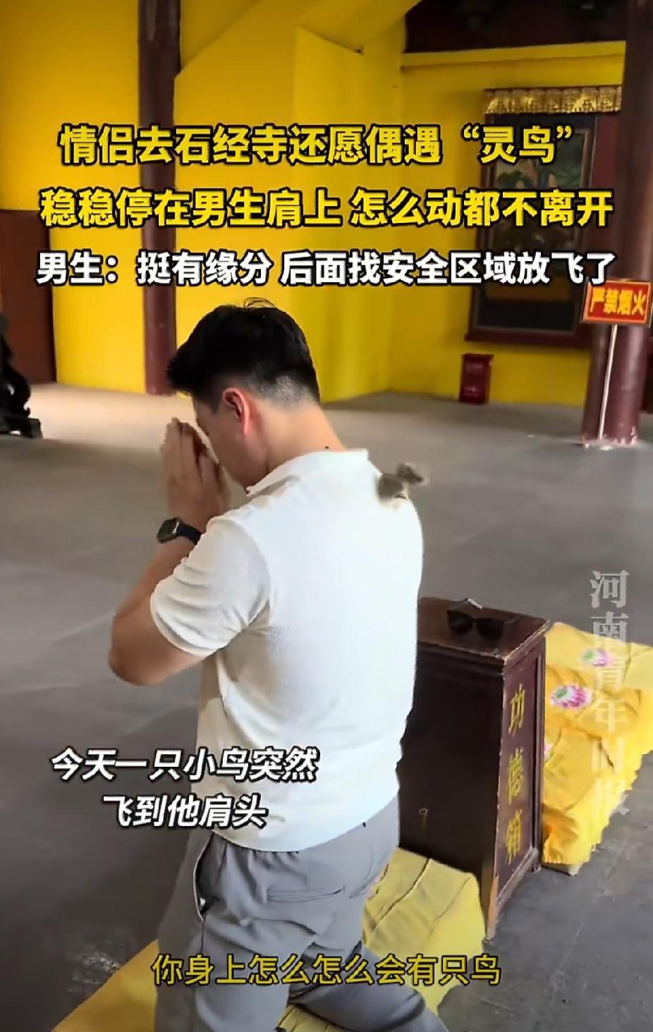 “科学没法解释了。”近日，一名男子与女友到寺庙还愿，一只小鸟扑扇翅膀飞来，稳稳落