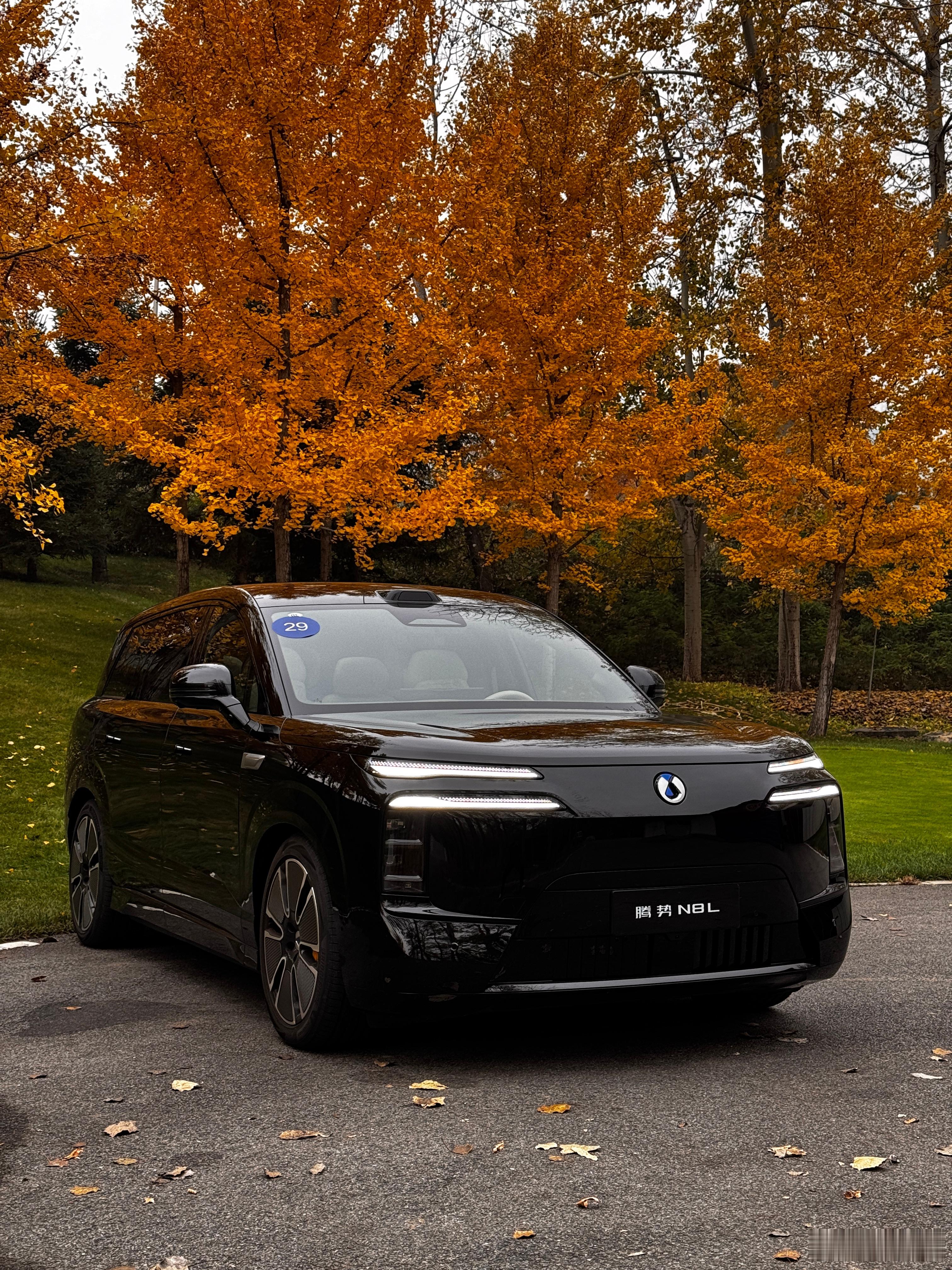 腾势N8L，这几天开这个。