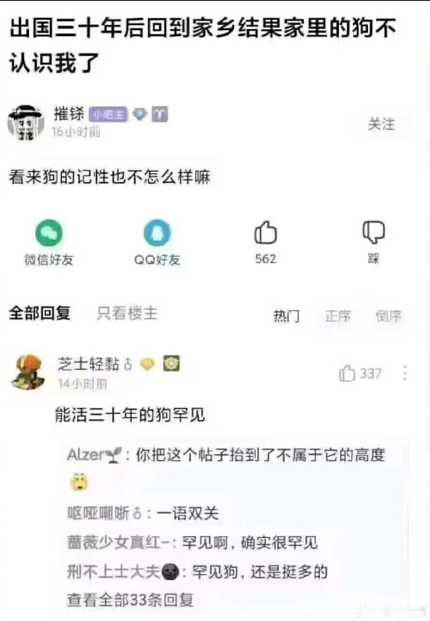 绝对是今年看到最厉害的谐音梗：​​​