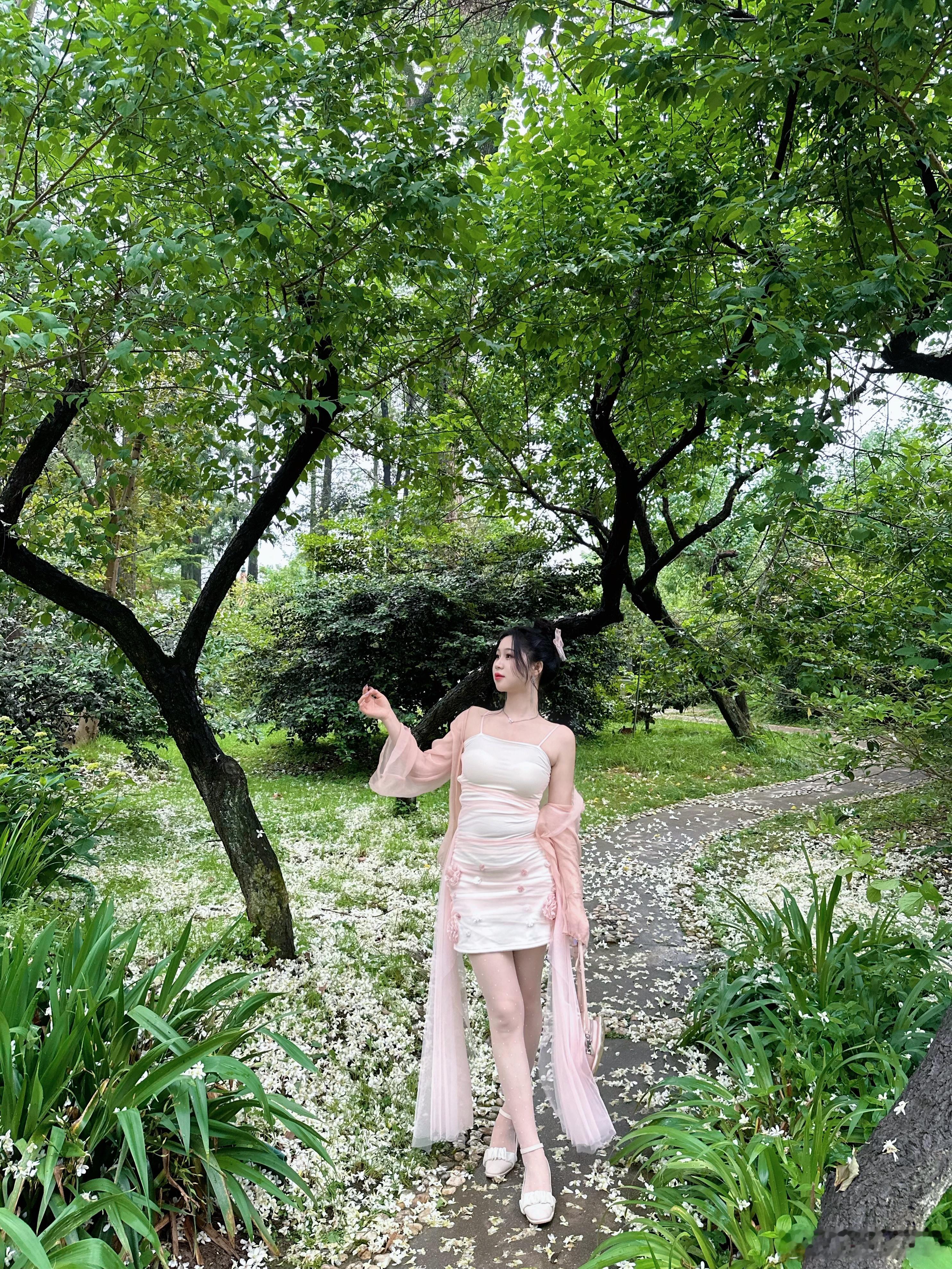万物自有节奏​​​