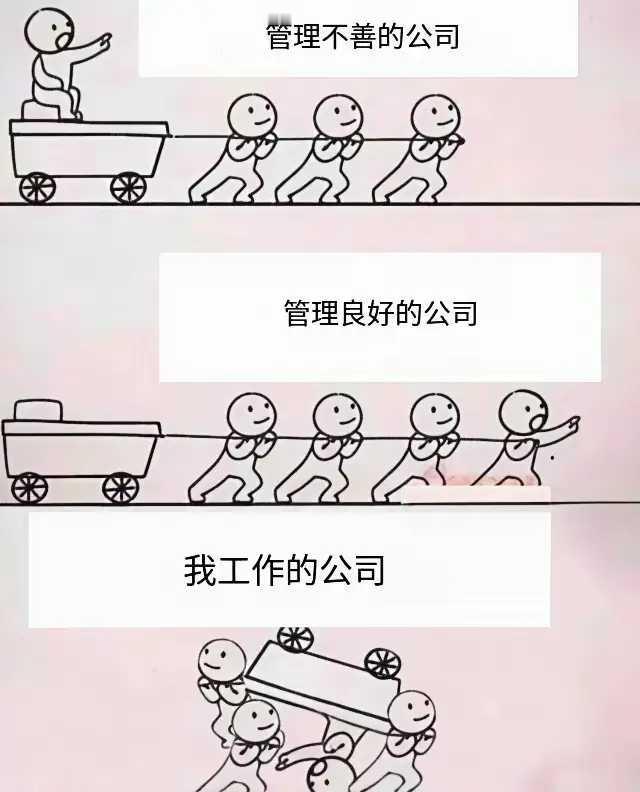 很形象的展示了我的公司