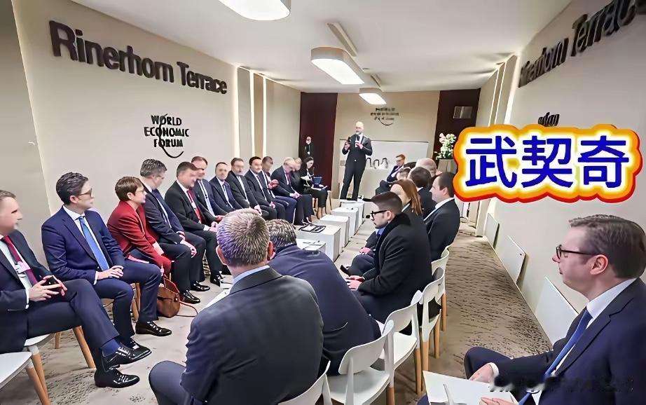 看到这一幕是不是就能理解为什么武契奇对华友好了吧欧洲各国领导人开会塞尔维亚