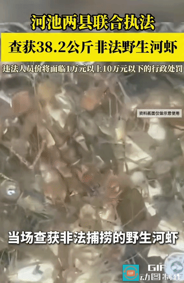 野生河虾成保护动物，还有谁没有听说过的？河池天峨、东兰两县联合渔政执法，拦
