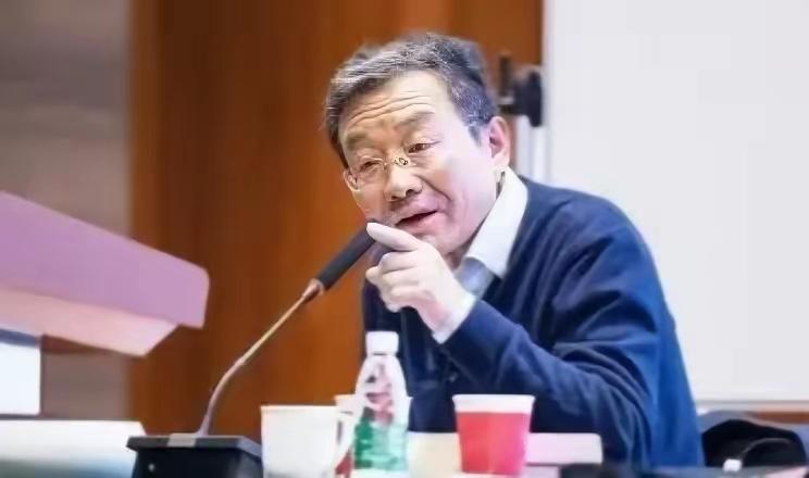 复旦大学教授王德峰再次语出惊人！他曾说：“我们再次出现了如孙中山当年说的‘一盘散