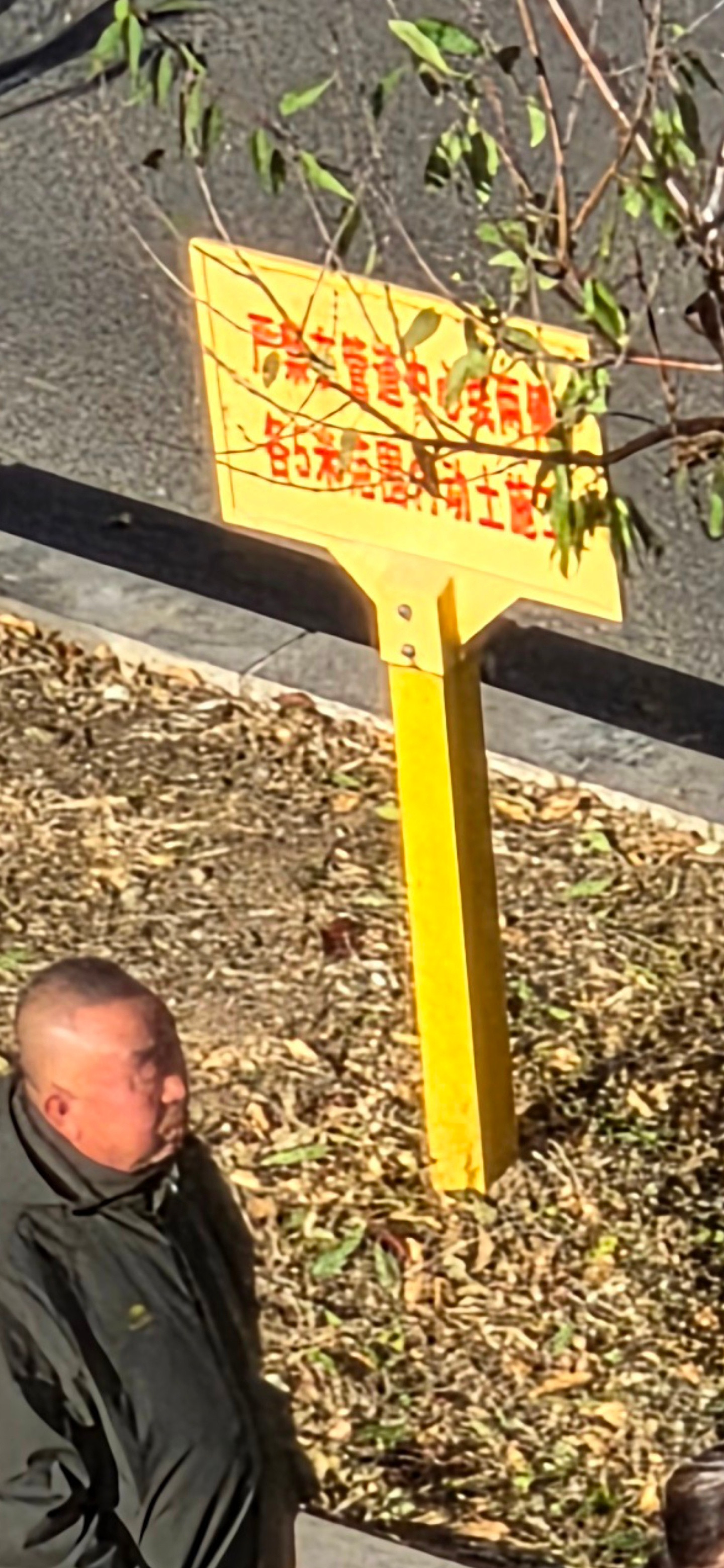 S25Ultra，vivoX300Pro默认模式和原生光影，vivo