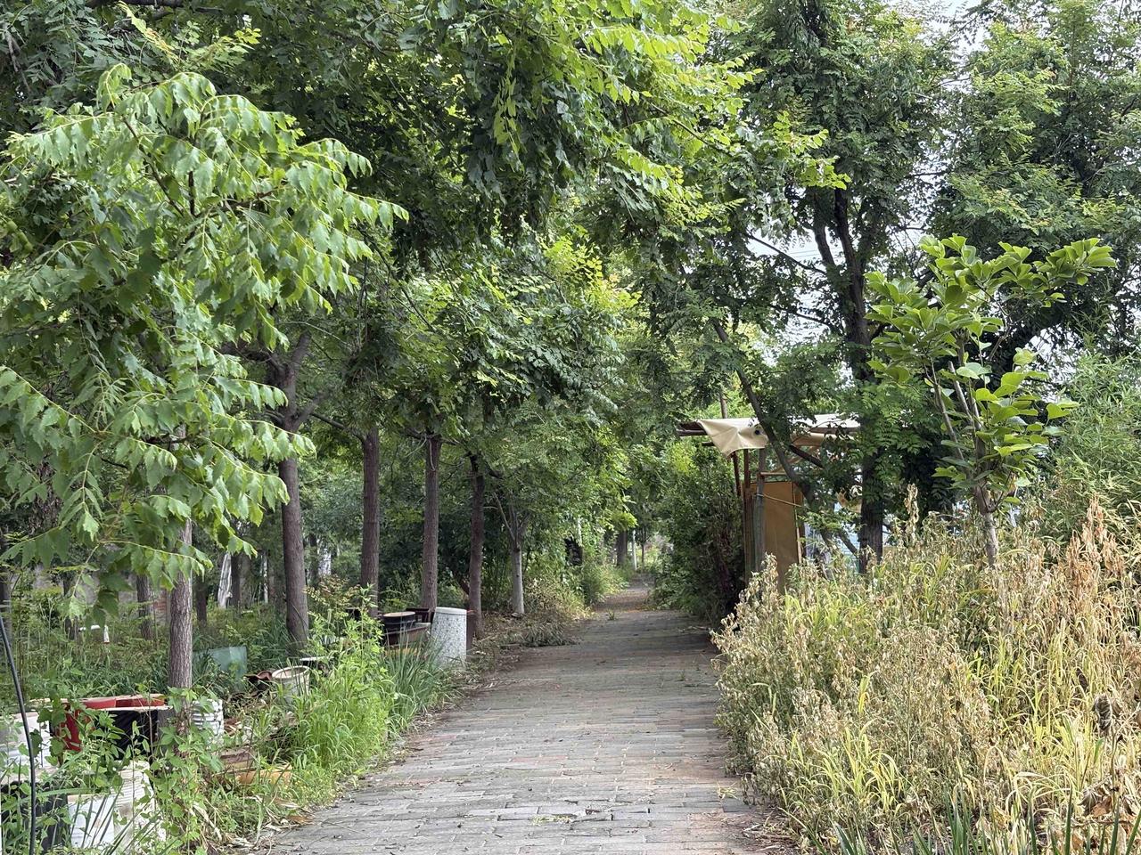 【光阴的故事】迁坟父亲告诉我，我们家的祖坟原不在漷县村。最早是在西边一个小村子
