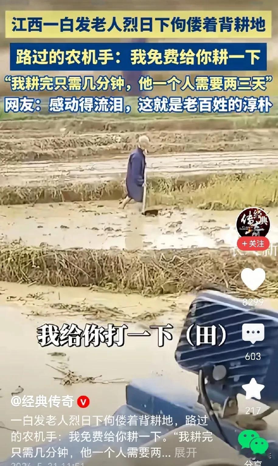 泪目了！江西，一位白发老人，在烈日下佝偻着背耕地，被太阳晒得黝黑的皮肤挥汗如雨，
