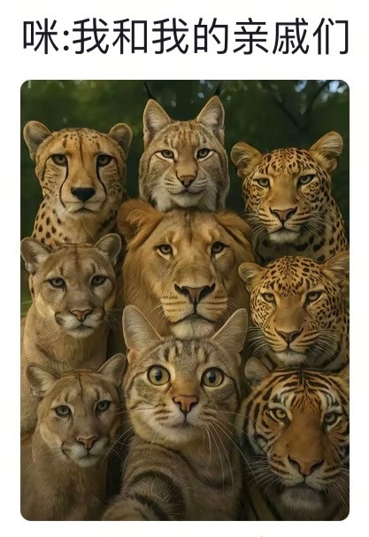 熊猫儿：我呢！开门[笑着哭][笑着哭][笑着哭]​​​