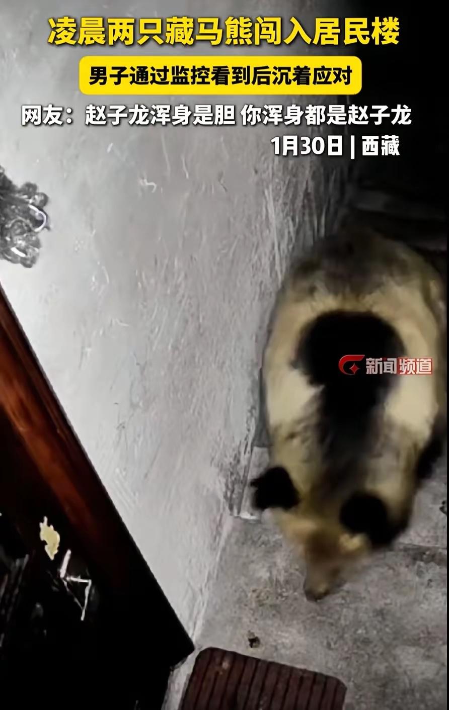 “太吓人了！”西藏，男子正在家中休息。手机突然震动，监控提示门外有异动。他打开画