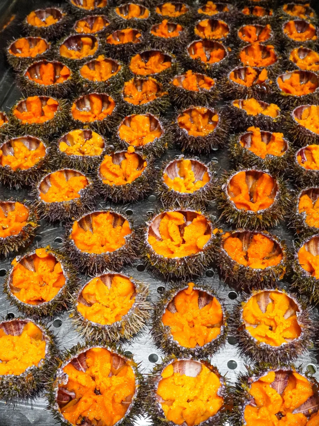 世贸天阶！北京海鲜自助天花板